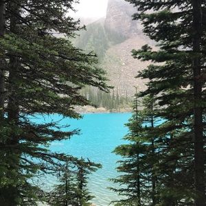 Meet your Posher, Tara